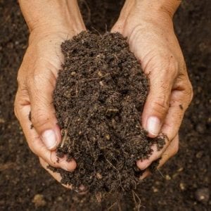 Maintaining soil health is essential to your summer landscaping here in Ashburn, VA.