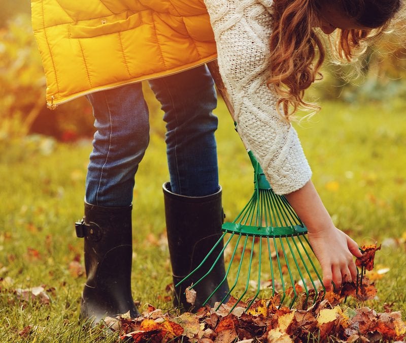 Prepare for keeping your yard clean in the fall ahead of time.