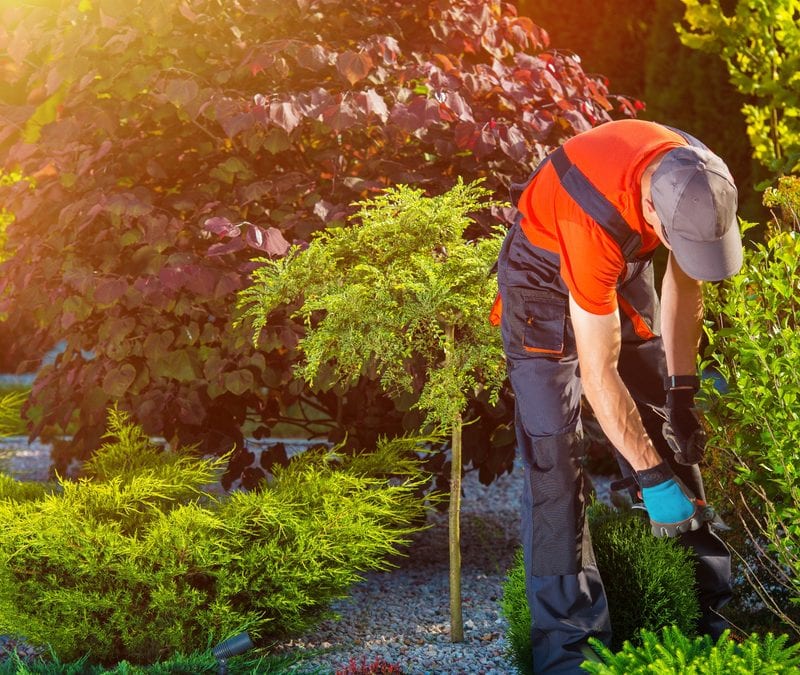 A professional landscaping team has many benefits for your Great Falls, VA landscaping.
