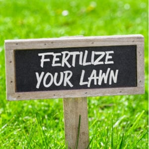 One of the top lawn care tips for 2020 is to fertilize your lawn on a regular basis.